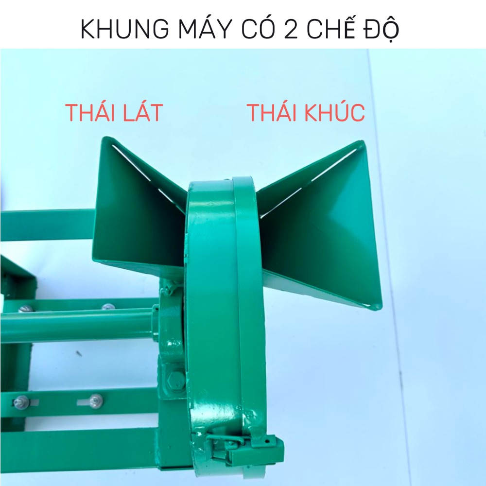 Các chế độ thái
