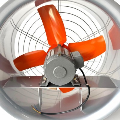 Động cơ dây đồng