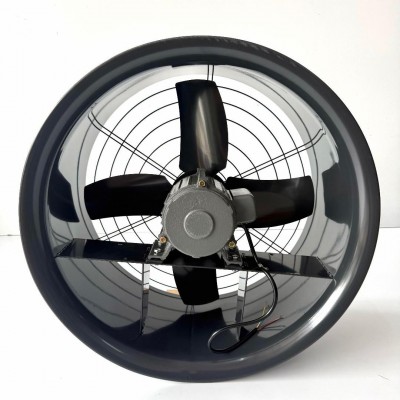 Động cơ dây đồng