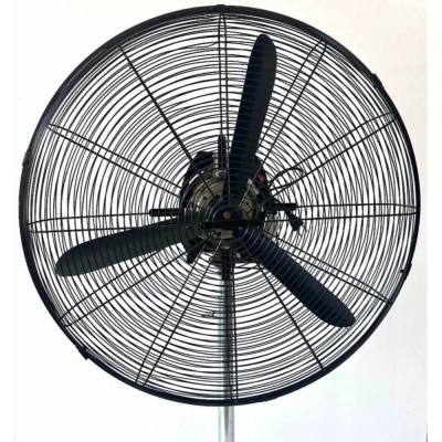 Phía Trước Quạt