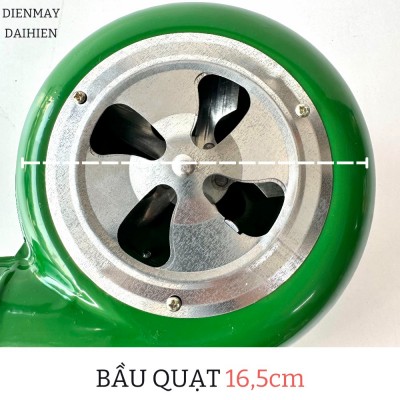 Bầu quạt rộng là 16,5cm