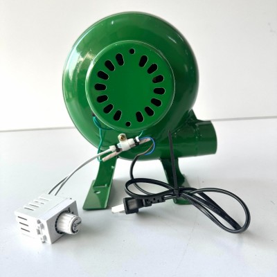 Quạt Có Lắp Số