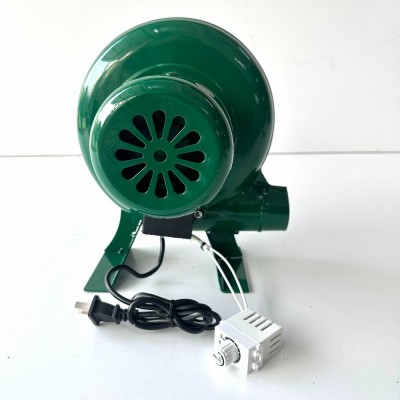 Quạt Có Lắp Số