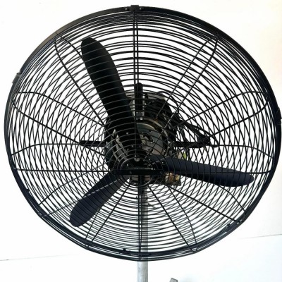 mặt trước quạt