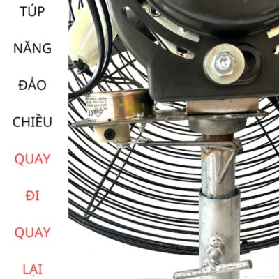 Quạt có túp năng điều chỉnh hướng